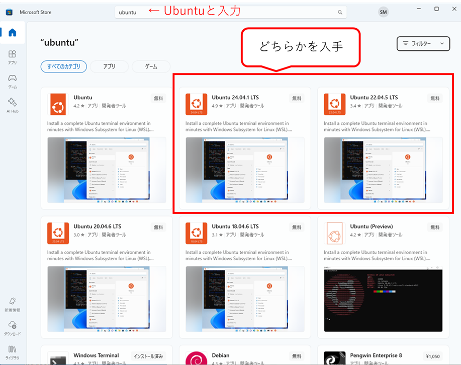 Microsoft Store2